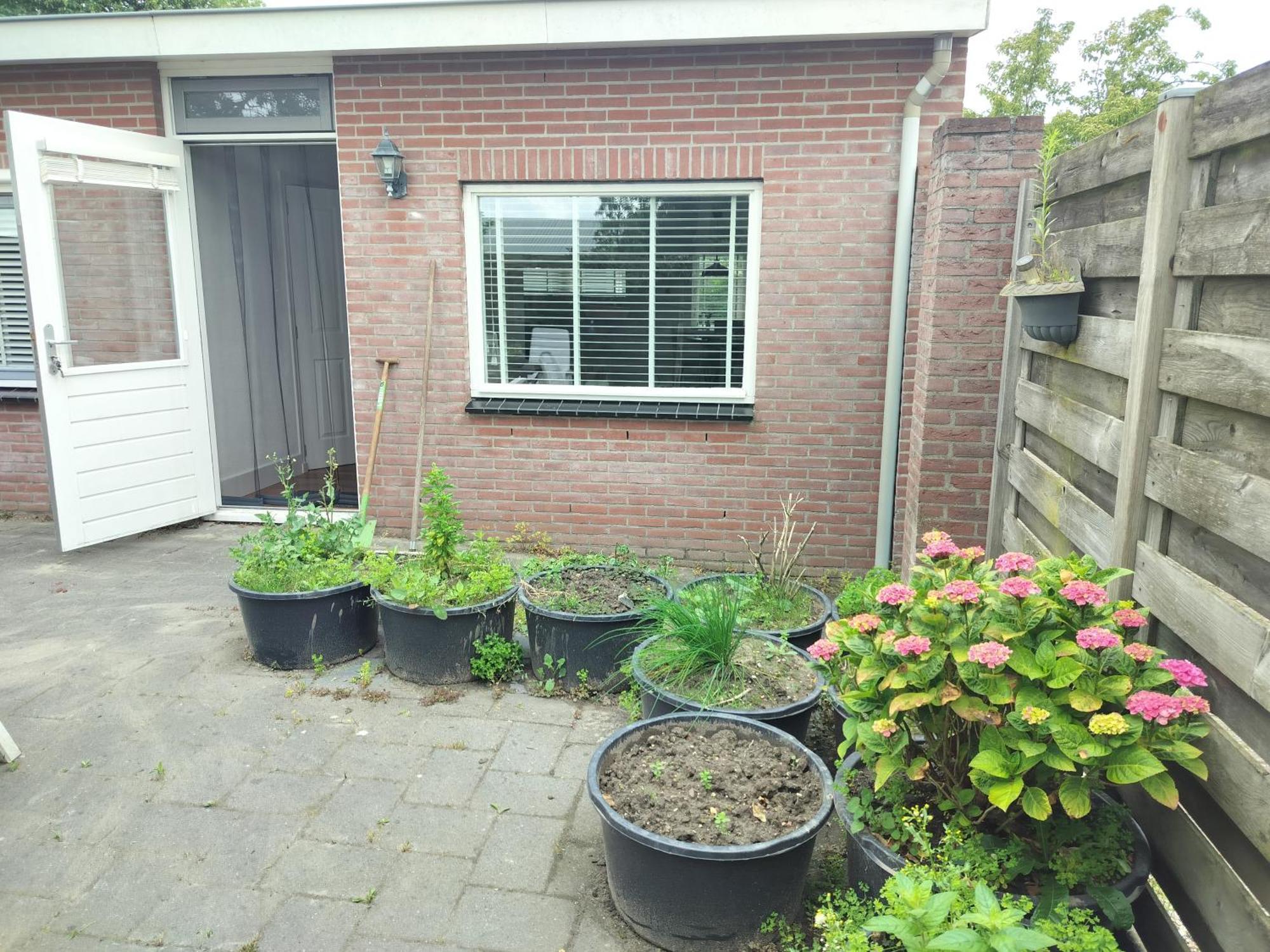 Solstice, Quiet Cottage In Bruinisse, Zeeland Esterno foto
